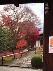 大徳寺(京都府)