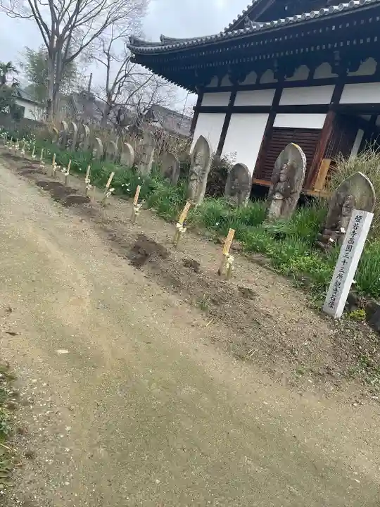般若寺 ❁コスモス寺❁(奈良県)