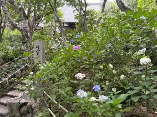 頼光寺(兵庫県)