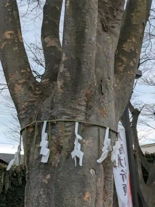 乃木神社の{uncategorized: "未分類", other: "その他", undefined: "問題あり", building: "その他建物", grave: "お墓", sacred_gate: "鳥居", guardian: "狛犬", statue: "像", buddha: "仏像", history: "歴史", nature: "自然", garden: "庭園", animal: "動物", pagoda: "塔", temizu: "手水舎", mountain_gate: "山門・神門", sanctuary: "本殿・本堂", subordinate: "末社・摂社", art: "芸術", scenery: "景色", jizo: "地蔵", ema: "絵馬", goshuin: "御朱印", omikuji: "おみくじ", items: "授与品その他", amulet: "お守り", goshuincho: "御朱印帳", eats: "食事", festival: "お祭り", votive_dance: "神楽", shichigosan: "七五三参", wedding: "結婚式", experience: "体験その他", initially: "初詣", around: "周辺", anti_infection: "感染症対策"}