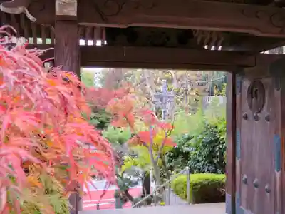 法輪寺の山門・神門