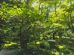 祇王寺(京都府)