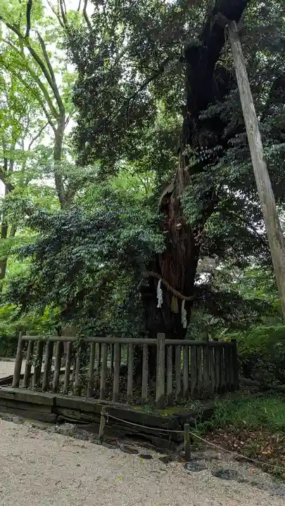 賀茂御祖神社(下鴨神社)(京都府)