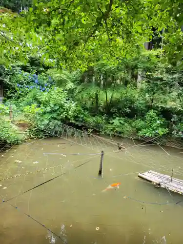観音寺(京都府)