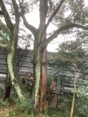 神明社(愛知県)