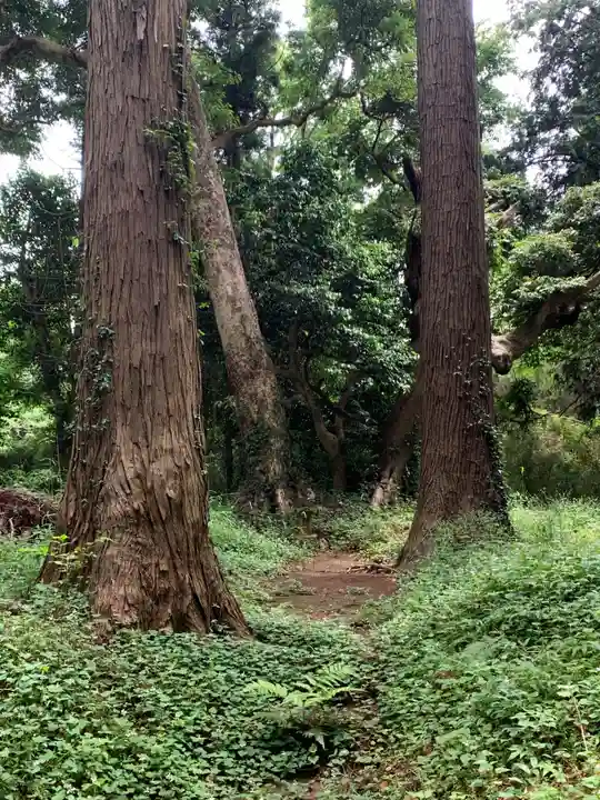 老尾神社(千葉県)
