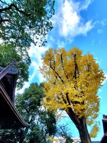 阿邪訶根神社(福島県)
