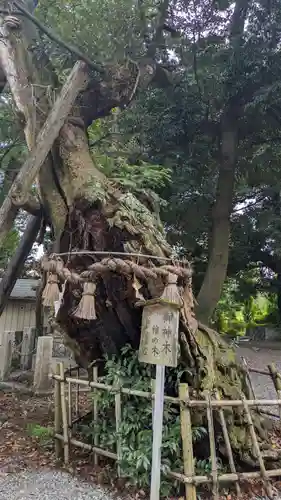 川尻八幡宮(神奈川県)
