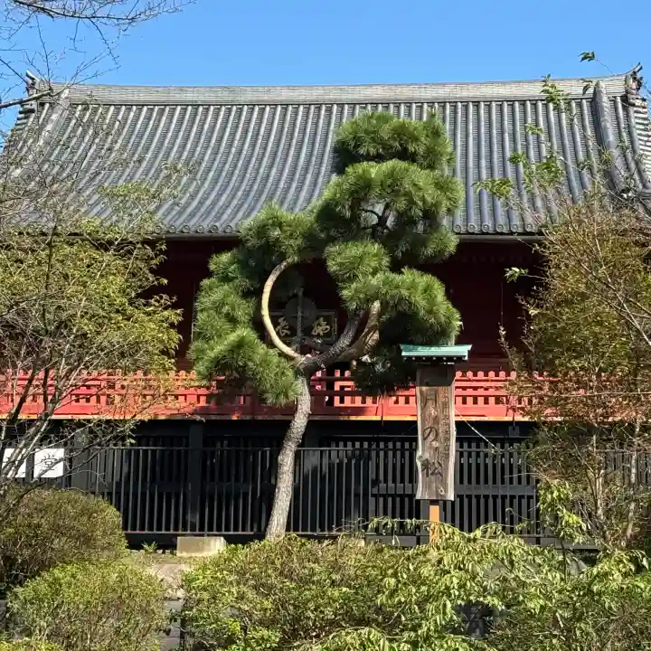 清水観音堂(東京都)