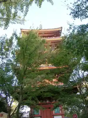 志度寺(香川県)