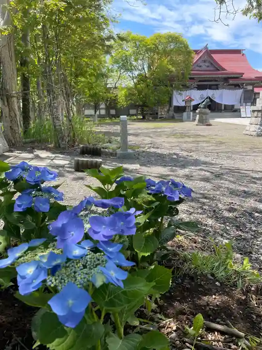 釧路一之宮 厳島神社の自然