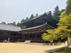 圓教寺の建物その他