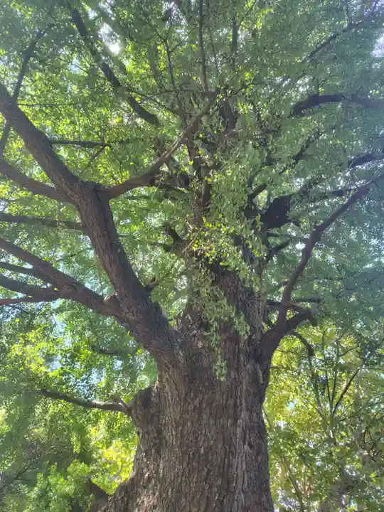 芝東照宮(東京都)