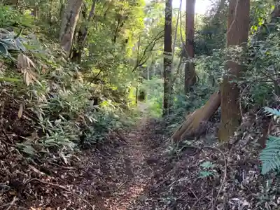 阿弥陀寺の周辺