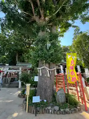 川越八幡宮(埼玉県)