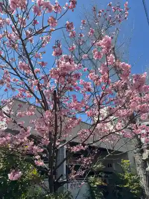 阿邪訶根神社の{uncategorized: "未分類", other: "その他", undefined: "問題あり", building: "その他建物", grave: "お墓", sacred_gate: "鳥居", guardian: "狛犬", statue: "像", buddha: "仏像", history: "歴史", nature: "自然", garden: "庭園", animal: "動物", pagoda: "塔", temizu: "手水舎", mountain_gate: "山門・神門", sanctuary: "本殿・本堂", subordinate: "末社・摂社", art: "芸術", scenery: "景色", jizo: "地蔵", ema: "絵馬", goshuin: "御朱印", omikuji: "おみくじ", items: "授与品その他", amulet: "お守り", goshuincho: "御朱印帳", eats: "食事", festival: "お祭り", votive_dance: "神楽", shichigosan: "七五三参", wedding: "結婚式", experience: "体験その他", initially: "初詣", around: "周辺", anti_infection: "感染症対策"}