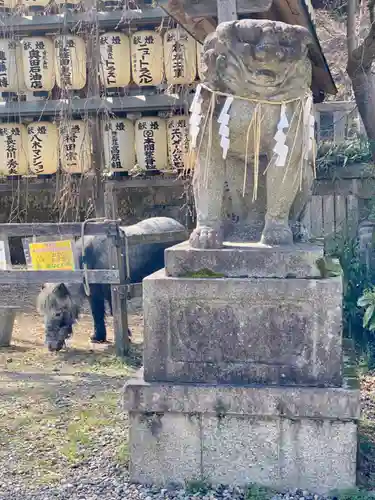 大石神社の狛犬