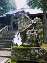 早池峯神社の狛犬