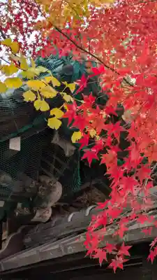 松ヶ崎大黒天 妙圓寺（妙円寺）(京都府)