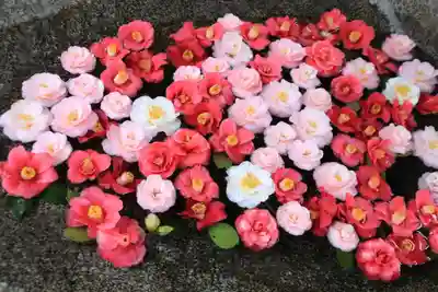 田村神社の手水舎