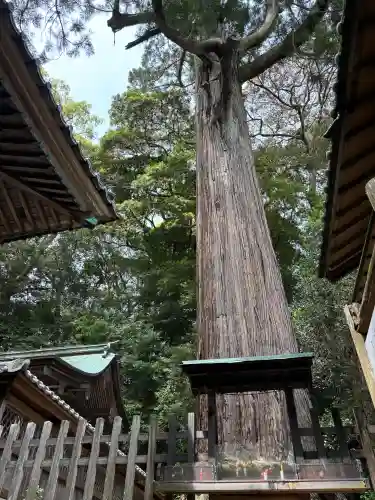 事任八幡宮の{uncategorized: "未分類", other: "その他", undefined: "問題あり", building: "その他建物", grave: "お墓", sacred_gate: "鳥居", guardian: "狛犬", statue: "像", buddha: "仏像", history: "歴史", nature: "自然", garden: "庭園", animal: "動物", pagoda: "塔", temizu: "手水舎", mountain_gate: "山門・神門", sanctuary: "本殿・本堂", subordinate: "末社・摂社", art: "芸術", scenery: "景色", jizo: "地蔵", ema: "絵馬", goshuin: "御朱印", omikuji: "おみくじ", items: "授与品その他", amulet: "お守り", goshuincho: "御朱印帳", eats: "食事", festival: "お祭り", votive_dance: "神楽", shichigosan: "七五三参", wedding: "結婚式", experience: "体験その他", initially: "初詣", around: "周辺", anti_infection: "感染症対策"}