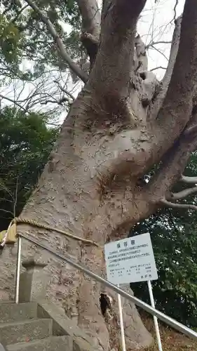 常陸第三宮　吉田神社(茨城県)