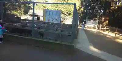 鹿島神宮のその他建物