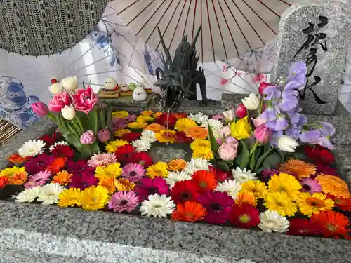 札幌諏訪神社の手水舎