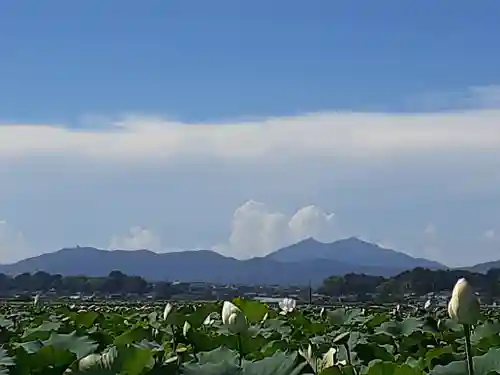 伏木香取神社の景色