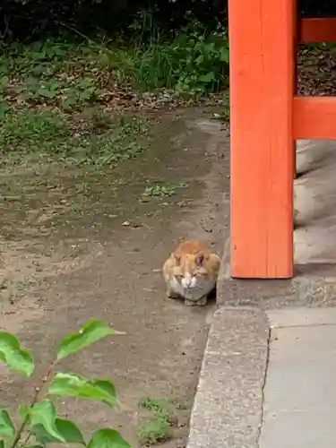 北野天満宮の動物