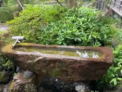 青蓮院門跡の手水舎