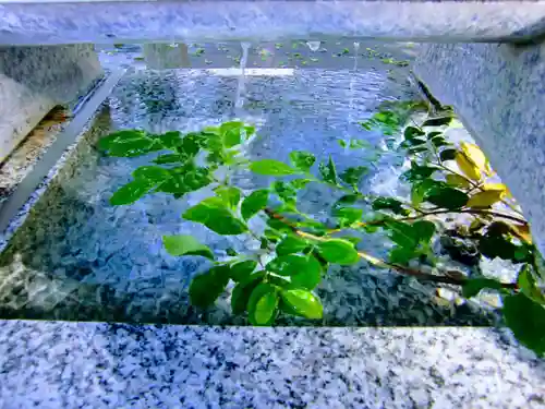 大宮・大原神社の手水舎