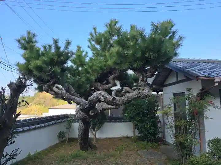 妙楽寺(和歌山県)