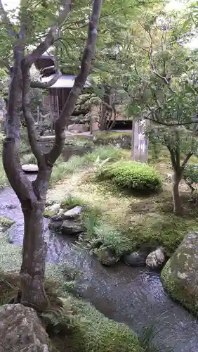 天龍寺の庭園