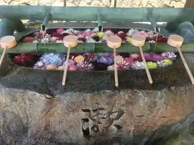 岡寺（龍蓋寺）の手水舎