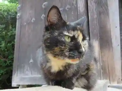 長岳寺(奈良県)