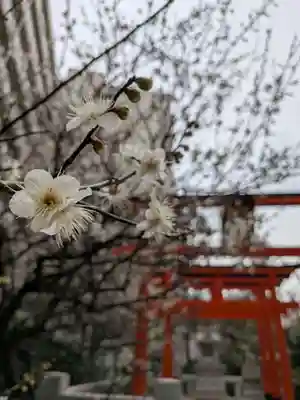 銀世界稲荷神社(東京都)