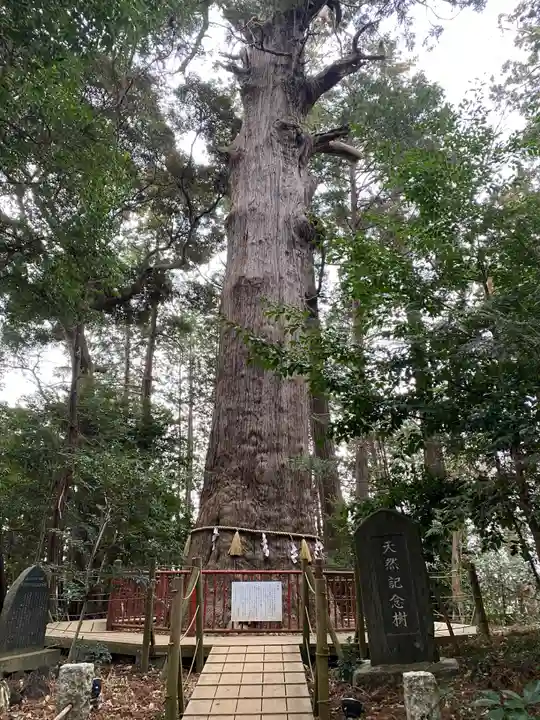 麻賀多神社(千葉県)