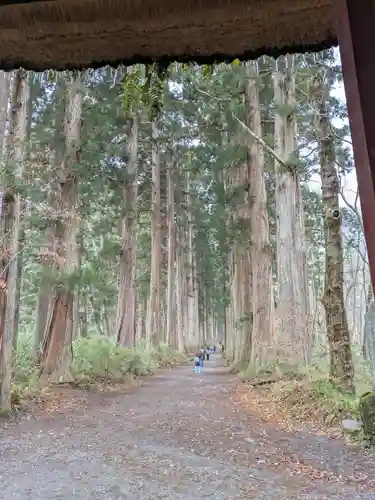 戸隠神社九頭龍社(長野県)