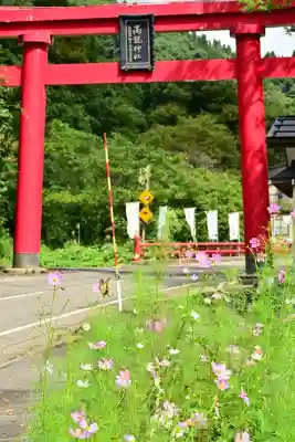 高龍神社(新潟県)