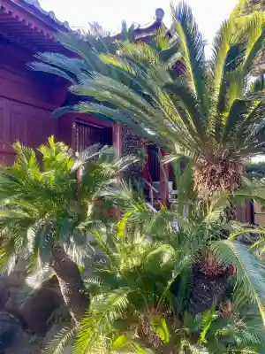 安養院の{uncategorized: "未分類", other: "その他", undefined: "問題あり", building: "その他建物", grave: "お墓", sacred_gate: "鳥居", guardian: "狛犬", statue: "像", buddha: "仏像", history: "歴史", nature: "自然", garden: "庭園", animal: "動物", pagoda: "塔", temizu: "手水舎", mountain_gate: "山門・神門", sanctuary: "本殿・本堂", subordinate: "末社・摂社", art: "芸術", scenery: "景色", jizo: "地蔵", ema: "絵馬", goshuin: "御朱印", omikuji: "おみくじ", items: "授与品その他", amulet: "お守り", goshuincho: "御朱印帳", eats: "食事", festival: "お祭り", votive_dance: "神楽", shichigosan: "七五三参", wedding: "結婚式", experience: "体験その他", initially: "初詣", around: "周辺", anti_infection: "感染症対策"}