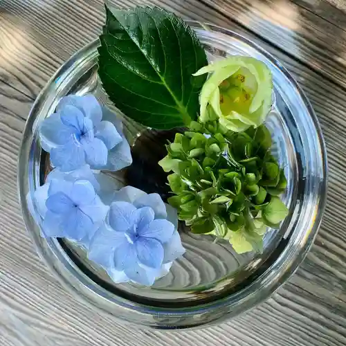 滑川神社 - 仕事と子どもの守り神の手水舎