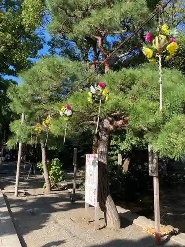 平塚八幡宮のその他建物