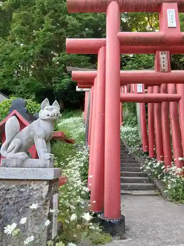 白狐山光星寺(山形県)