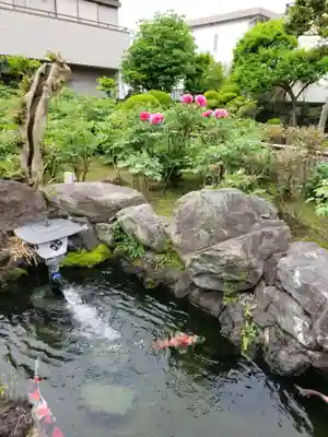 禅定院の庭園