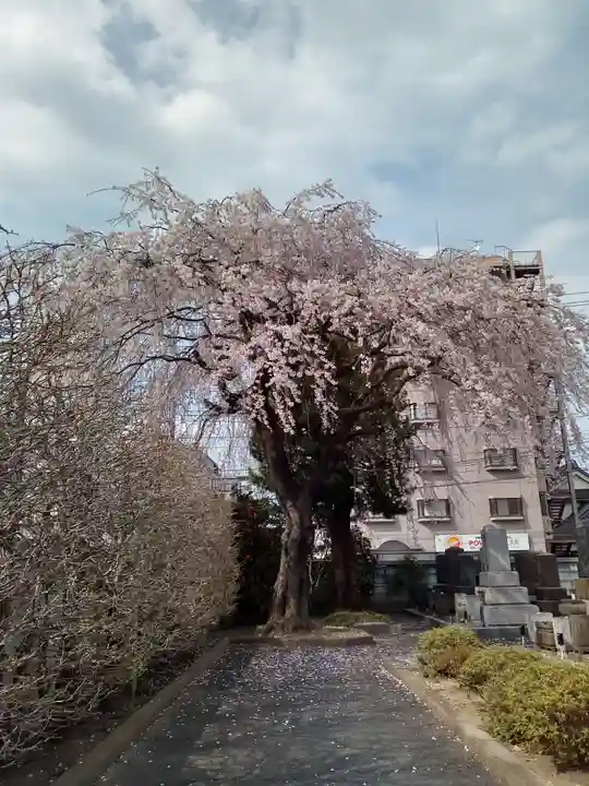 正樂寺(宮城県)