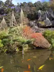 那谷寺の庭園