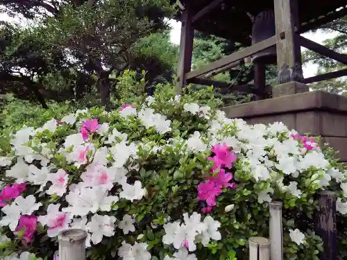 豪徳寺のその他建物