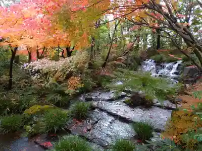 寿量山 速成寺の景色
