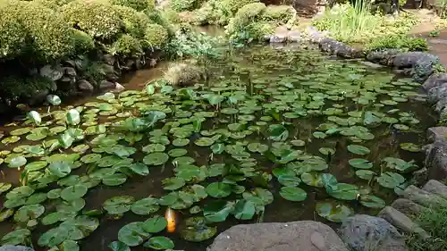 桂林寺の庭園